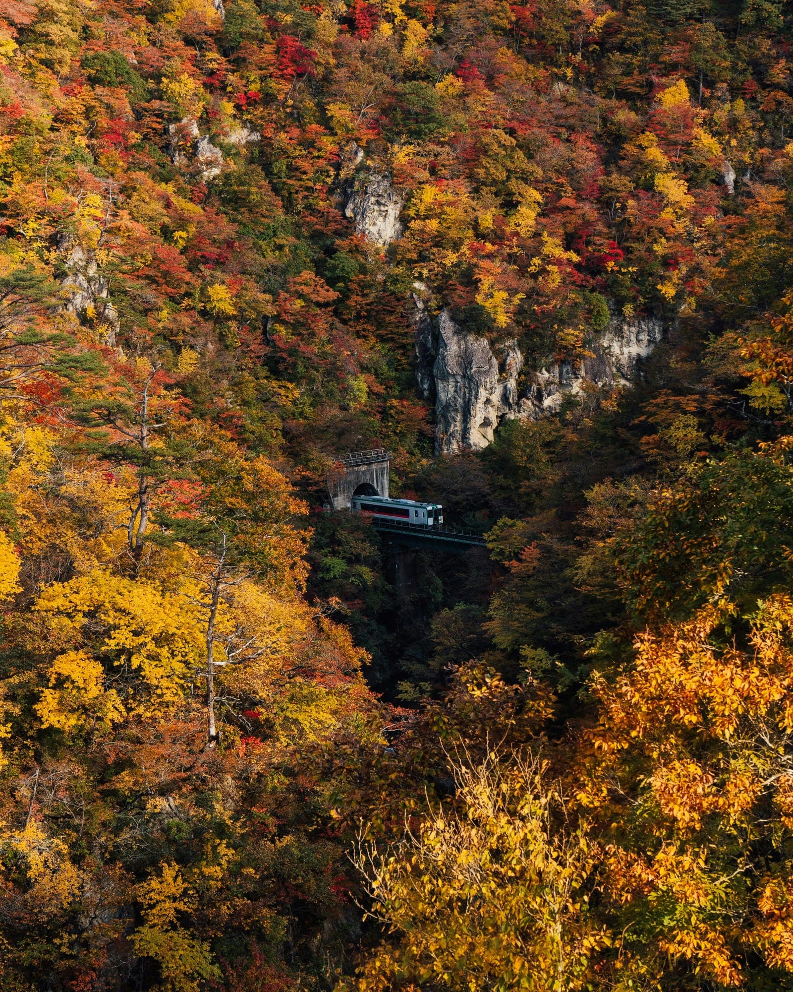 宮城の風景
