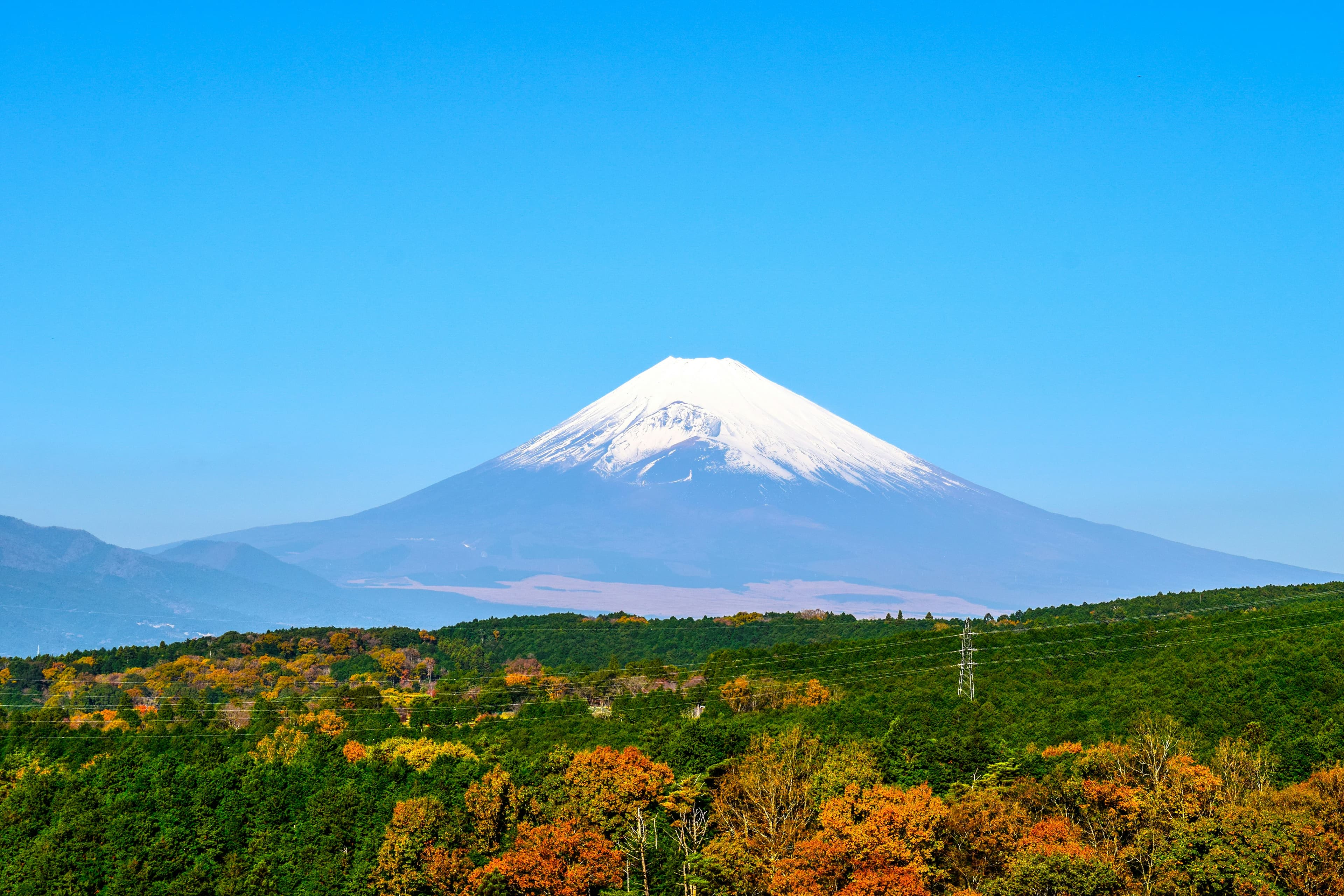 autumn leaves landscape with mount fuji in the backdrop
