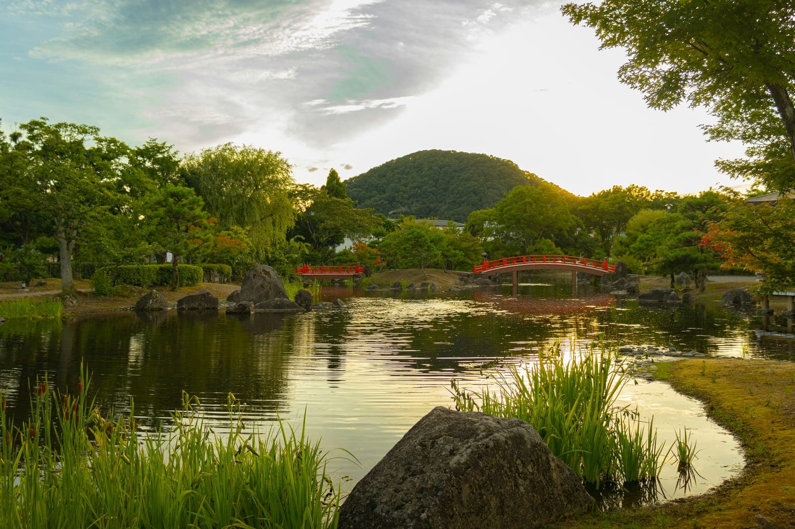 夕暮れの福井で、池に赤い太鼓橋が架かる日本庭園