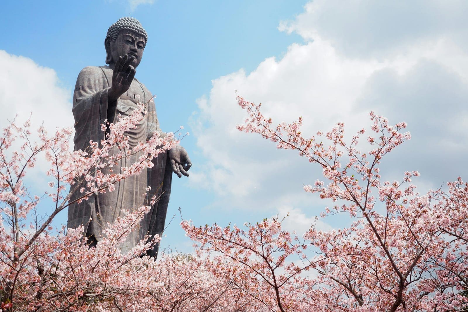 The giant Ushiku Daibutsu bronze Buddha rising above cherry blossoms in Ibaraki