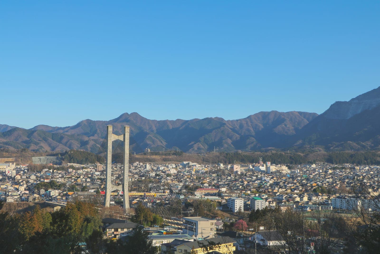 埼玉で、山々に囲まれた秩父の街並みを望む眺め