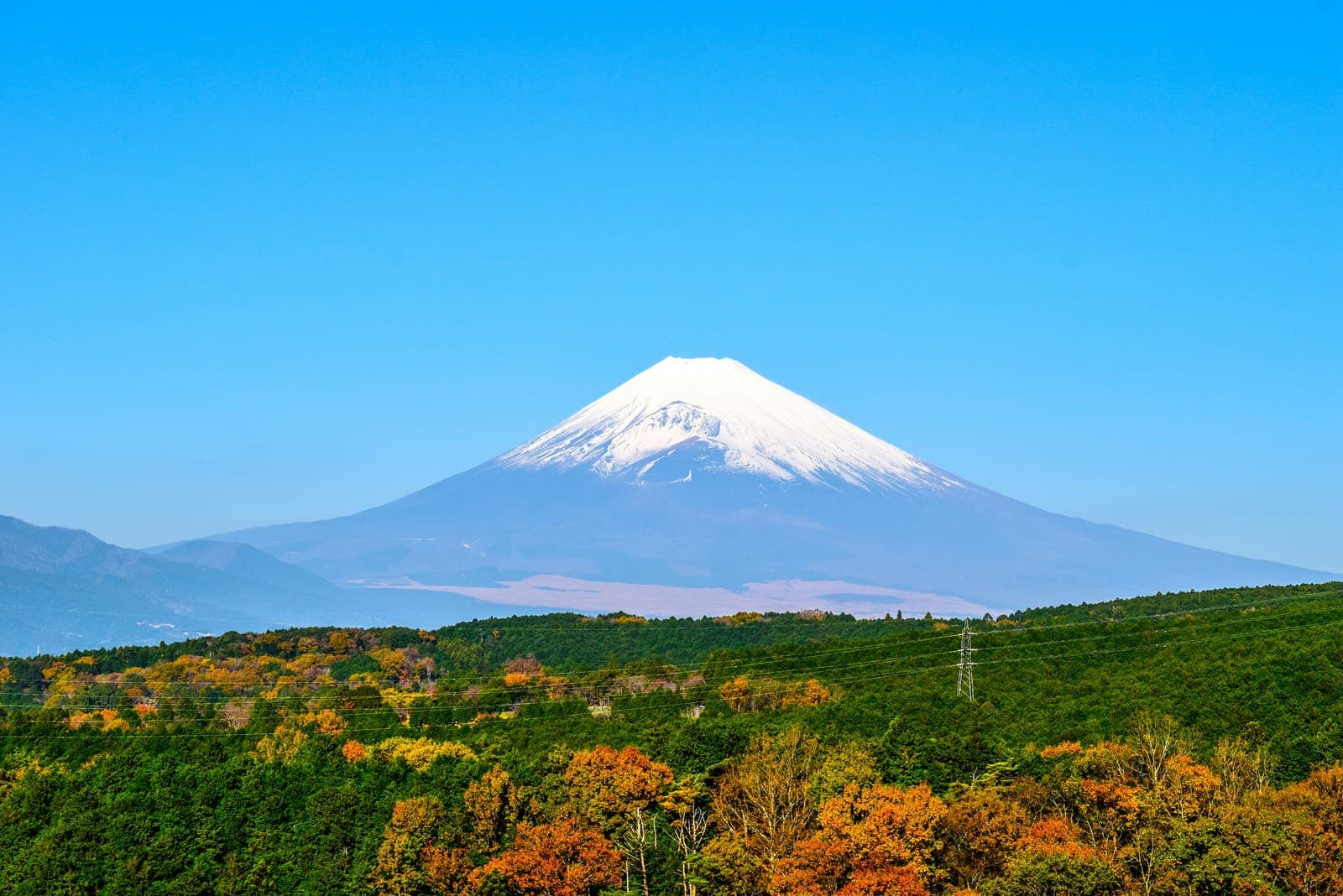 An autumn-leaves landscape with Mount Fuji in the background